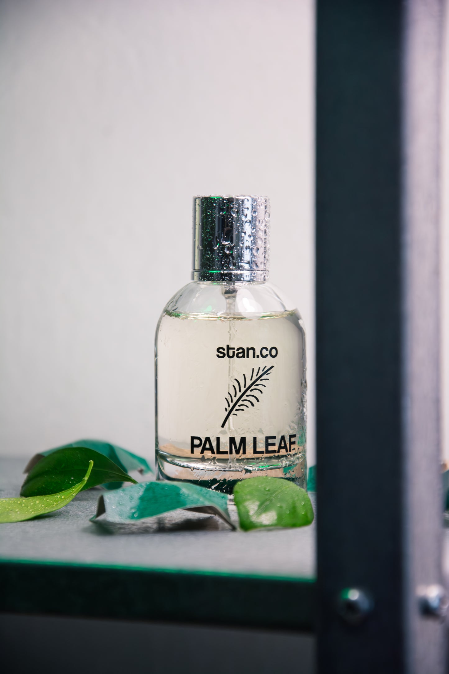 Palm Leaf